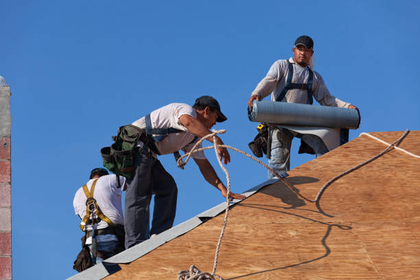 Best Roof Gutter Cleaning  in Riverwoods, IL